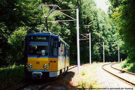 twsb_301.jpg